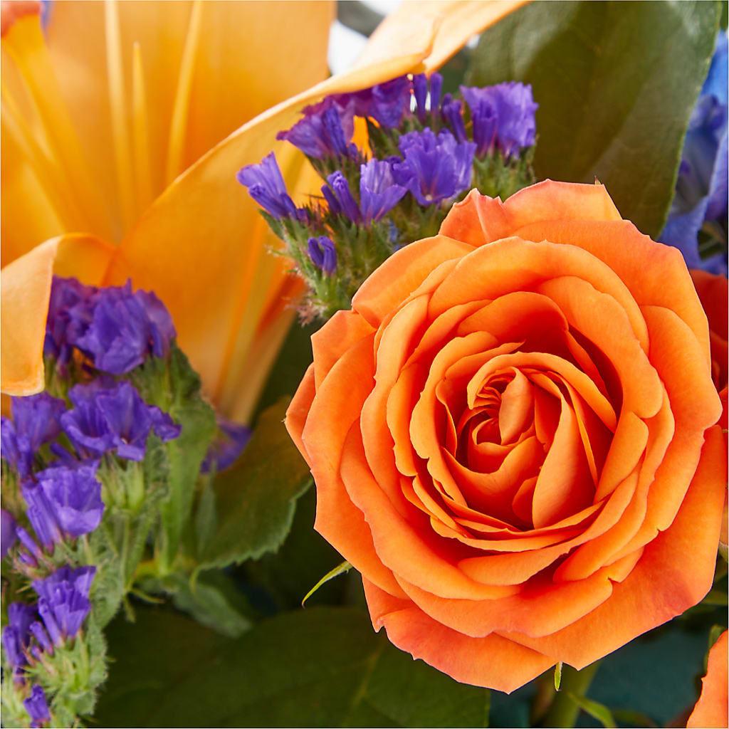 Radiant Citrus Box Bouquet – Natural Flowers Llc, Centreville VA