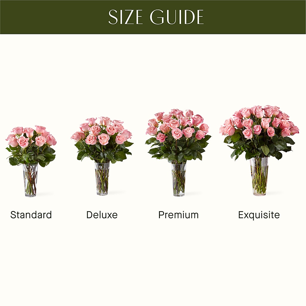 Long Stem Pink Rose Bouquet – Natural Flowers Llc, Centreville VA