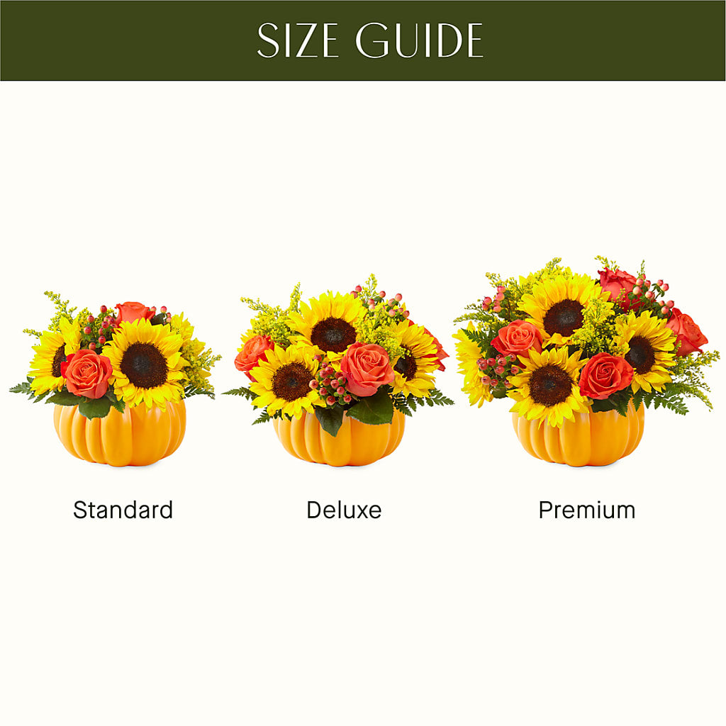 Pick of the Patch Pumpkin Bouquet – Natural Flowers Llc, Centreville VA