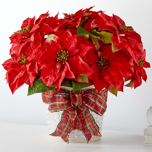 Happiest Holidays Poinsettia –  Natural Flowers Llc, Centreville VA