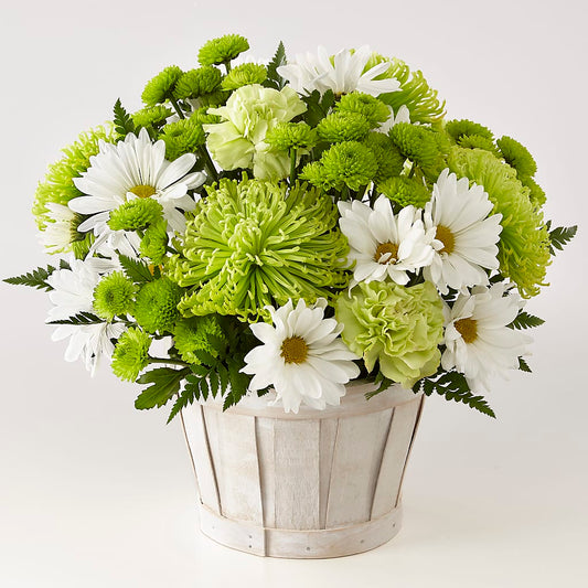 Lucky Charm Basket (Standard) –  Natural Flowers Llc, Centreville VA