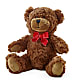 Adorable Plush Bear –  Natural Flowers Llc, Centreville VA