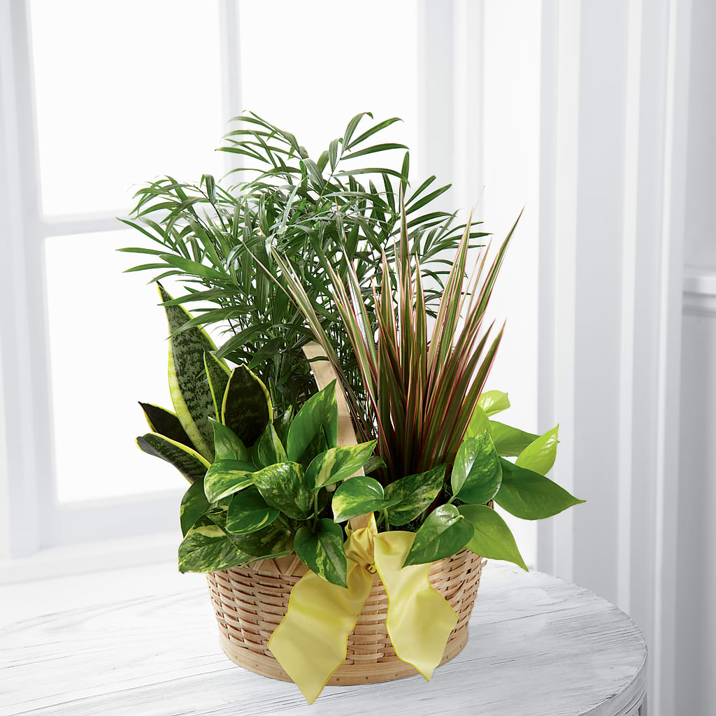 French Garden –  Natural Flowers Llc, Centreville VA