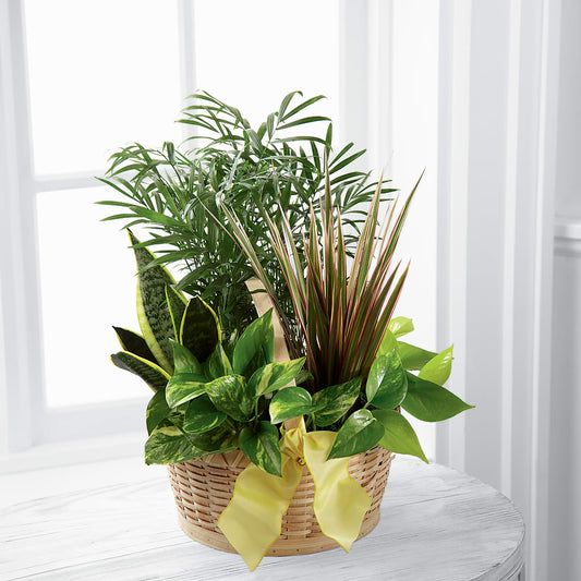 French Garden –  Natural Flowers Llc, Centreville VA