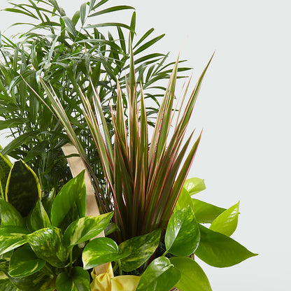 French Garden –  Natural Flowers Llc, Centreville VA