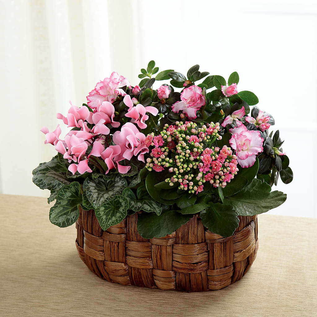 Pink Assortment –  Natural Flowers Llc, Centreville VA
