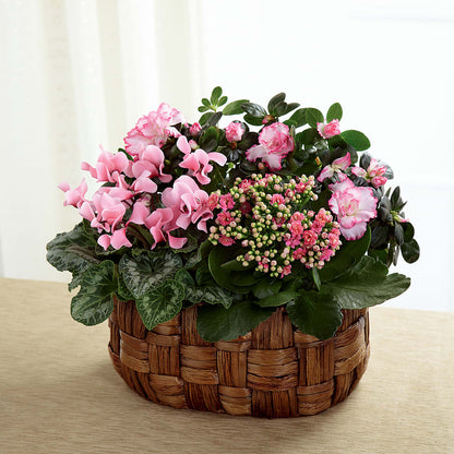 Pink Assortment –  Natural Flowers Llc, Centreville VA