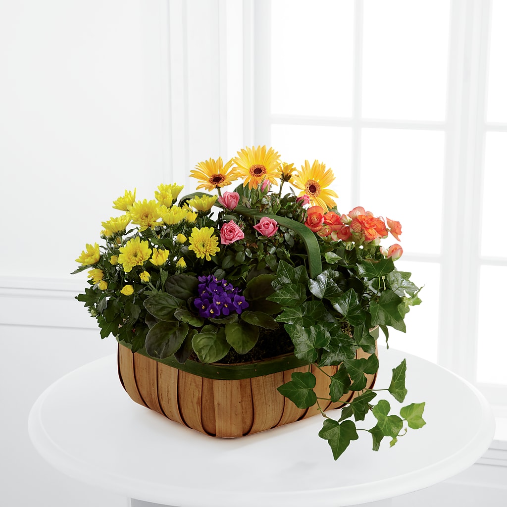Gentle Blossoms Basket –  Natural Flowers Llc, Centreville VA