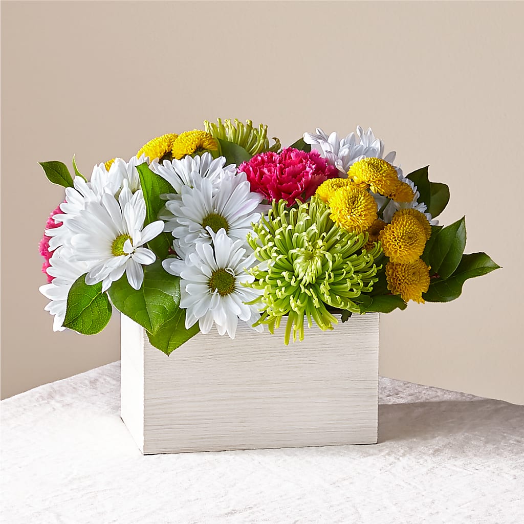 Sorbet Bouquet –  Natural Flowers Llc, Centreville VA