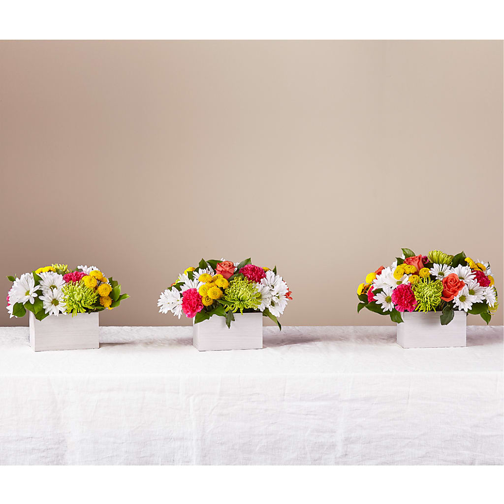 Sorbet Bouquet –  Natural Flowers Llc, Centreville VA