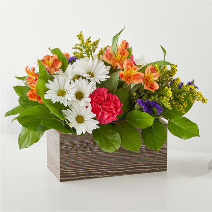 Oopsie Daisy Box Bouquet –  Natural Flowers Llc, Centreville VA