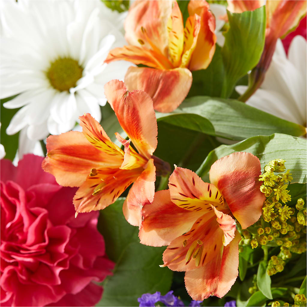 Oopsie Daisy Box Bouquet –  Natural Flowers Llc, Centreville VA