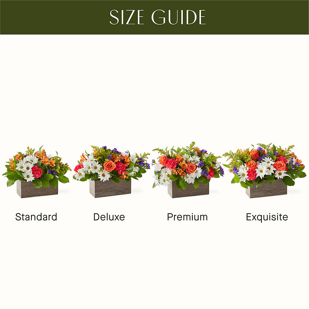 Oopsie Daisy Box Bouquet –  Natural Flowers Llc, Centreville VA