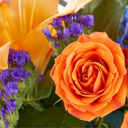 Radiant Citrus Box Bouquet –  Natural Flowers Llc, Centreville VA