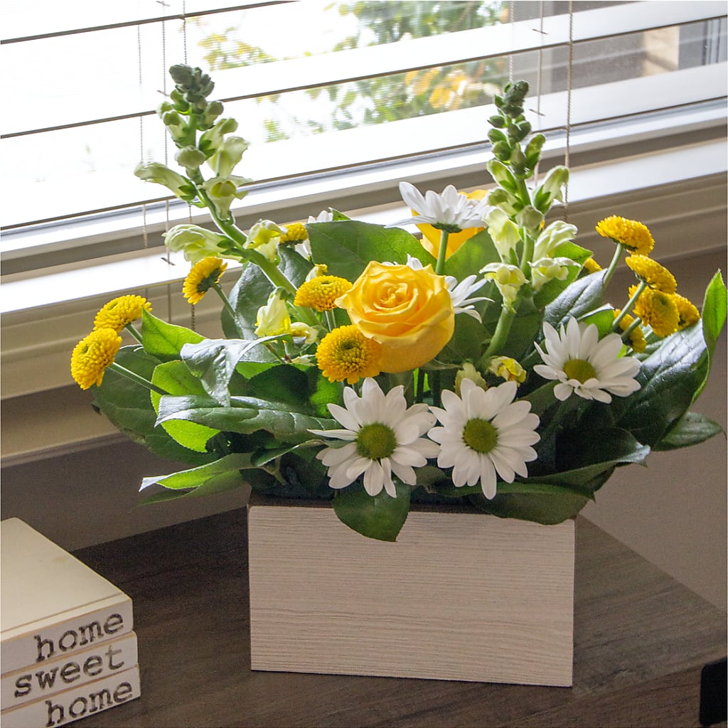 Sun Salutation Box Bouquet –  Natural Flowers Llc, Centreville VA