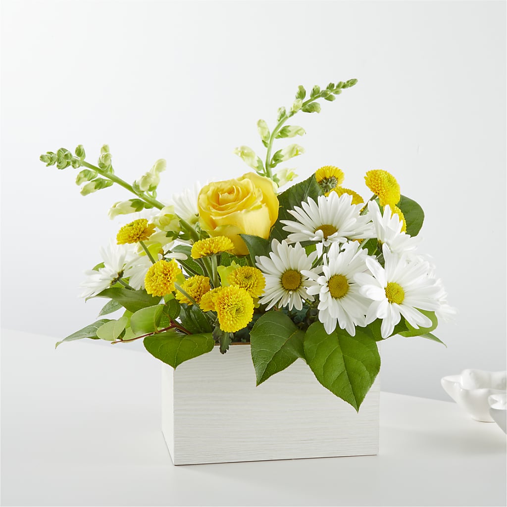 Sun Salutation Box Bouquet –  Natural Flowers Llc, Centreville VA