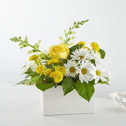 Sun Salutation Box Bouquet –  Natural Flowers Llc, Centreville VA