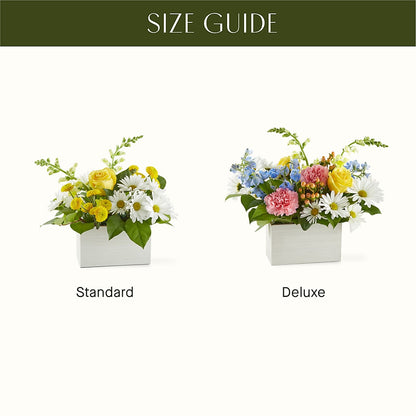 Sun Salutation Box Bouquet –  Natural Flowers Llc, Centreville VA