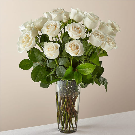 Long Stem White Rose Bouquet –  Natural Flowers Llc, Centreville VA