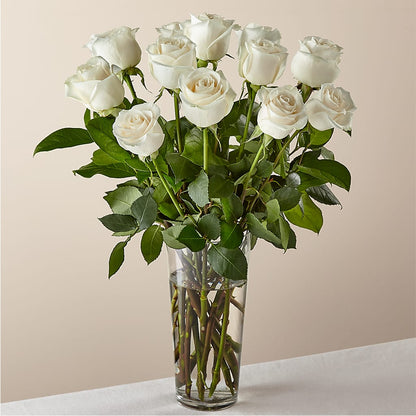 Long Stem White Rose Bouquet –  Natural Flowers Llc, Centreville VA