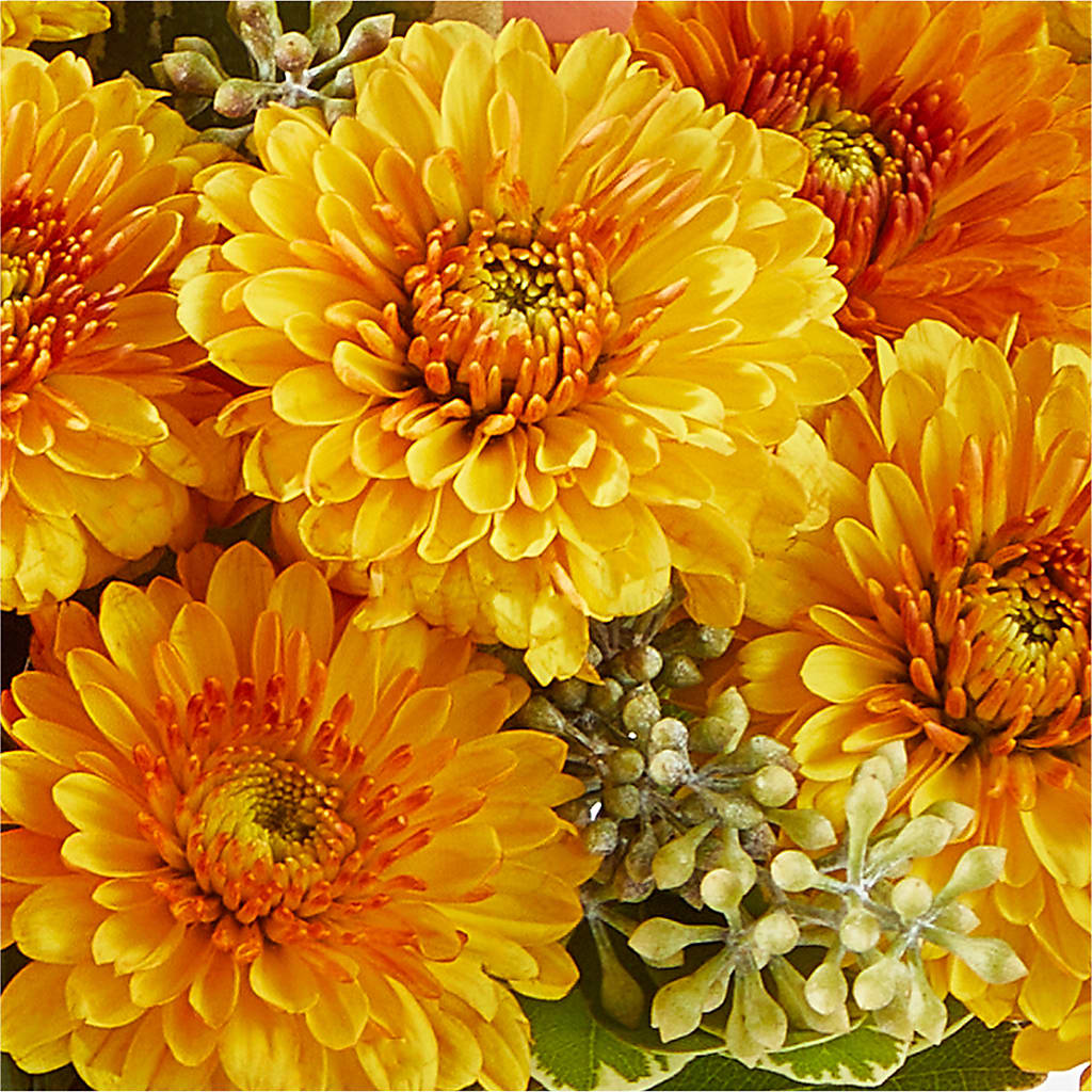 Peachy Pumpkin –  Natural Flowers Llc, Centreville VA