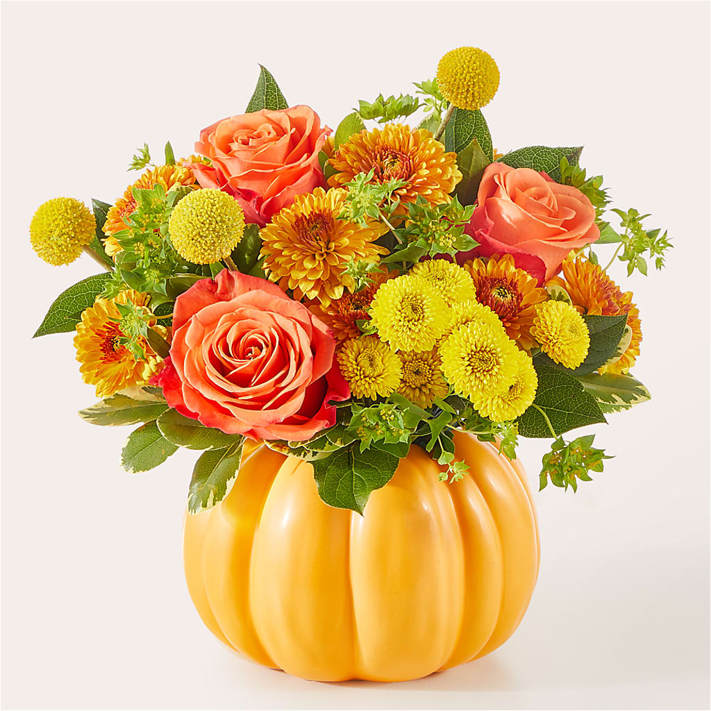 Gourdgeous Pumpkin –  Natural Flowers Llc, Centreville VA