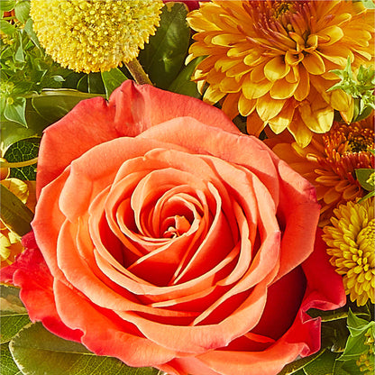 Gourdgeous Pumpkin –  Natural Flowers Llc, Centreville VA
