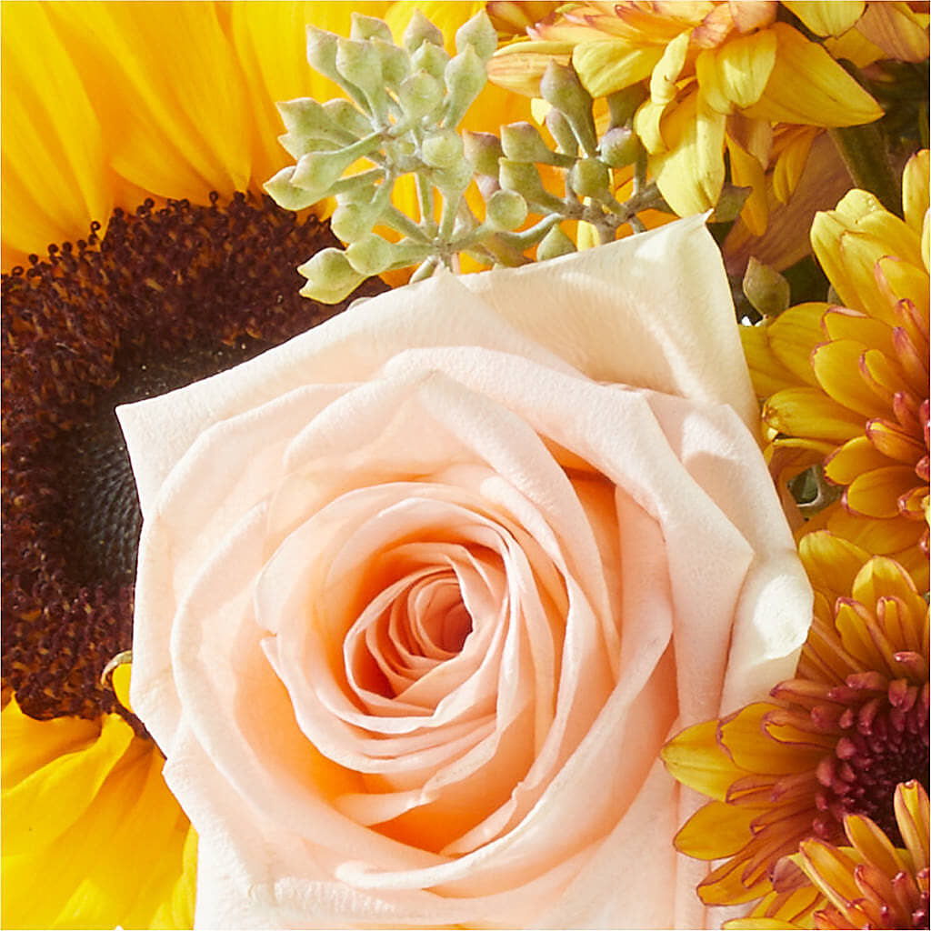 Pumpkin to Talk About Bouquet –  Natural Flowers Llc, Centreville VA