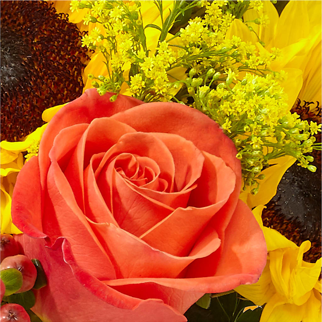 Pick of the Patch Pumpkin Bouquet –  Natural Flowers Llc, Centreville VA