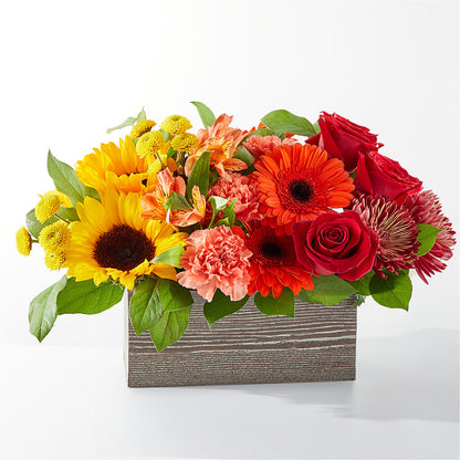 Autumn Orchard Bouquet –  Natural Flowers Llc, Centreville VA