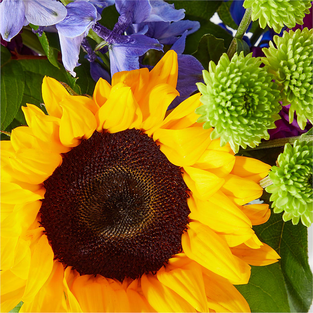 Catching Rays Bouquet –  Natural Flowers Llc, Centreville VA