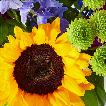 Catching Rays Bouquet –  Natural Flowers Llc, Centreville VA