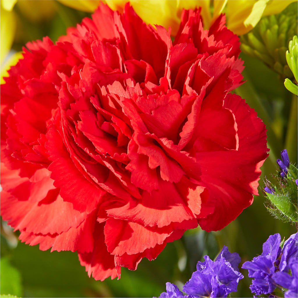 Brighter Days Bouquet –  Natural Flowers Llc, Centreville VA