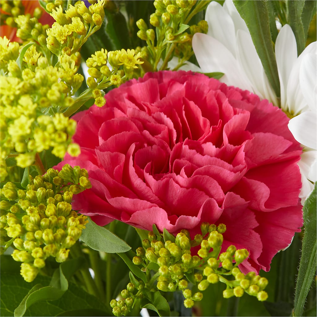 Oopsie Daisy Bouquet –  Natural Flowers Llc, Centreville VA