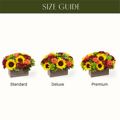 Happy Harvest Garden –  Natural Flowers Llc, Centreville VA