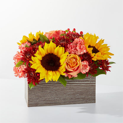 Fresh Cider Bouquet –  Natural Flowers Llc, Centreville VA