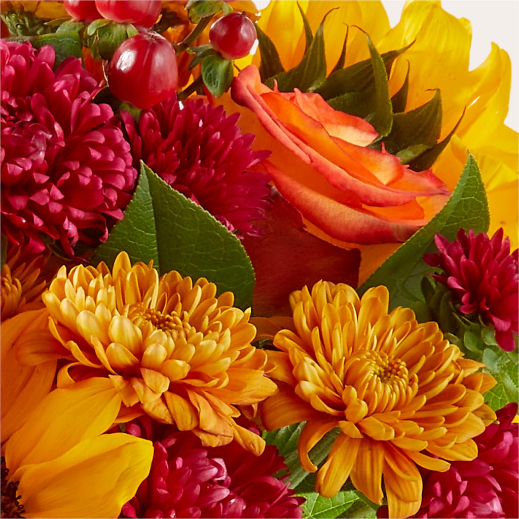 Sweater Season - A Florist Original –  Natural Flowers Llc, Centreville VA