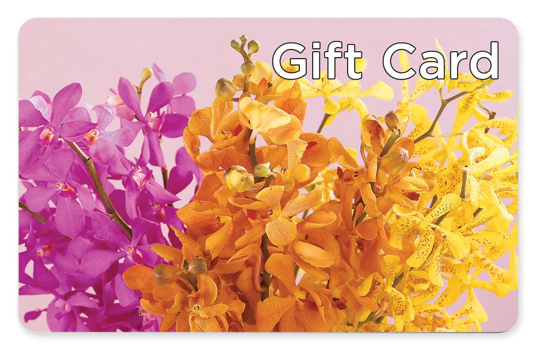 Gift Card –  Natural Flowers Llc, Centreville VA