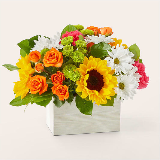 Sun-drenched Blooms Box Bouquet –  Natural Flowers Llc, Centreville VA