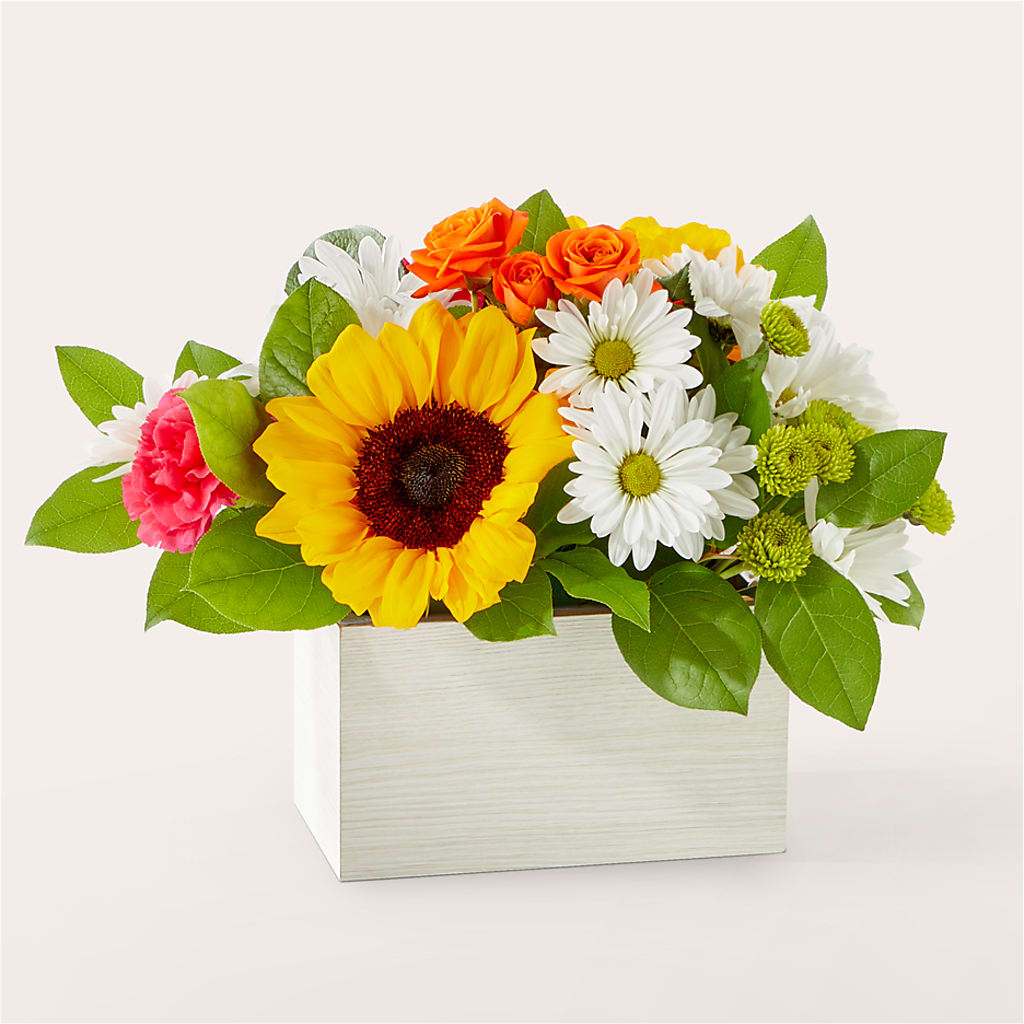 Sun-drenched Blooms Box Bouquet –  Natural Flowers Llc, Centreville VA