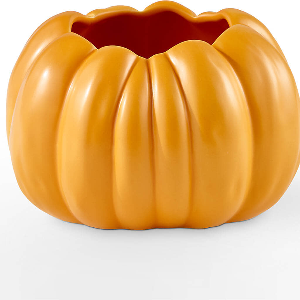 Golden Gourd Pumpkin Bouquet –  Natural Flowers Llc, Centreville VA
