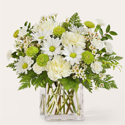 Momentary Meditation Bouquet –  Natural Flowers Llc, Centreville VA