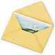 Greeting Card –  Natural Flowers Llc, Centreville VA