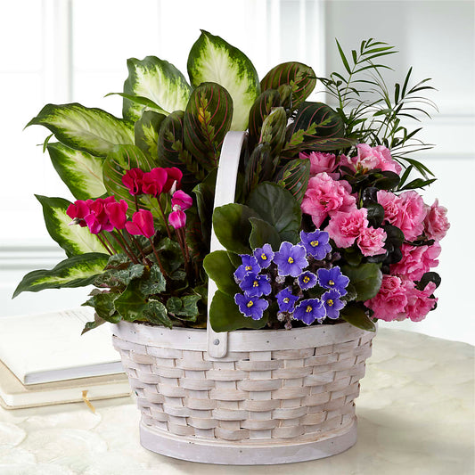 Peaceful Garden Planter –  Natural Flowers Llc, Centreville VA