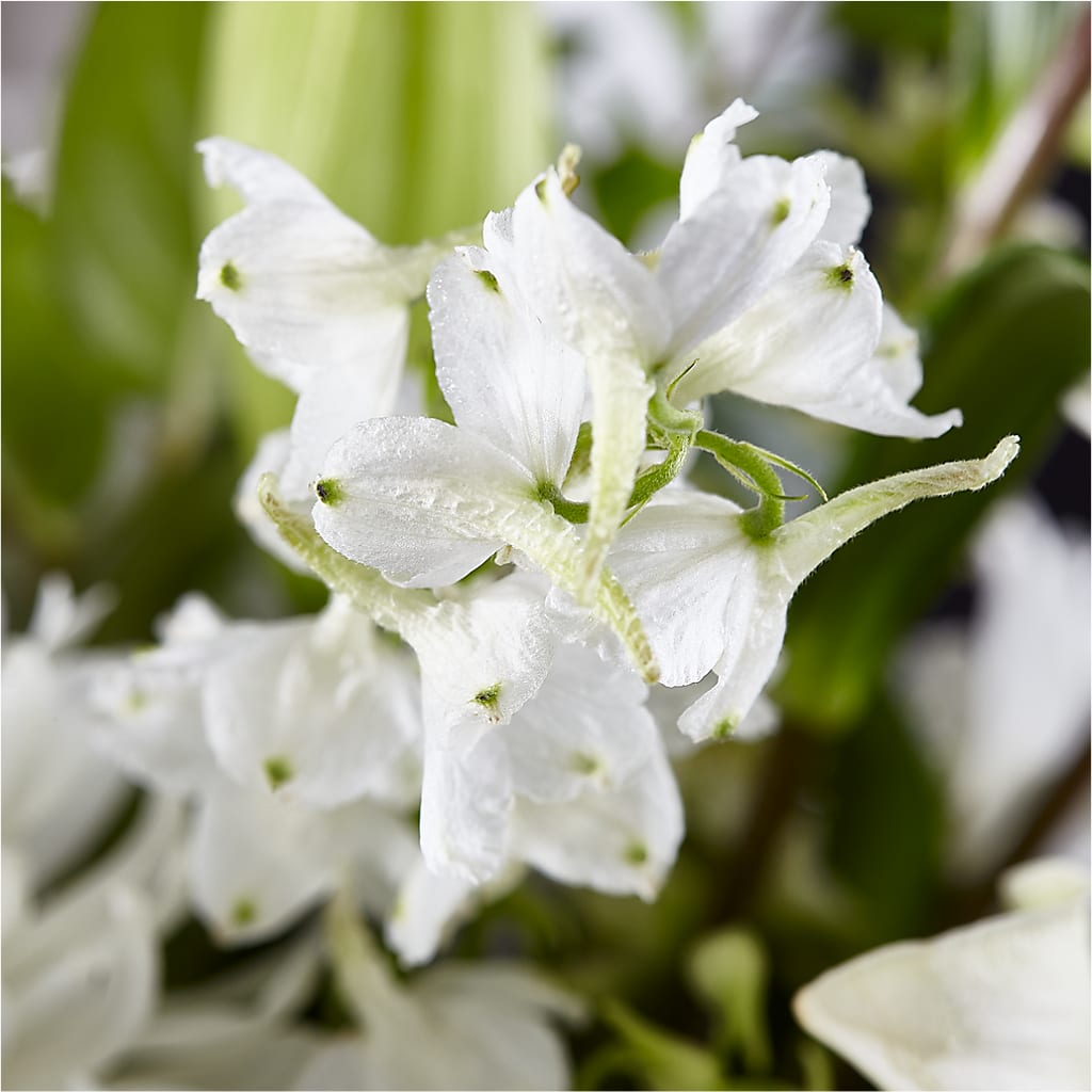 Classic Ivory – A Florist Original –  Natural Flowers Llc, Centreville VA