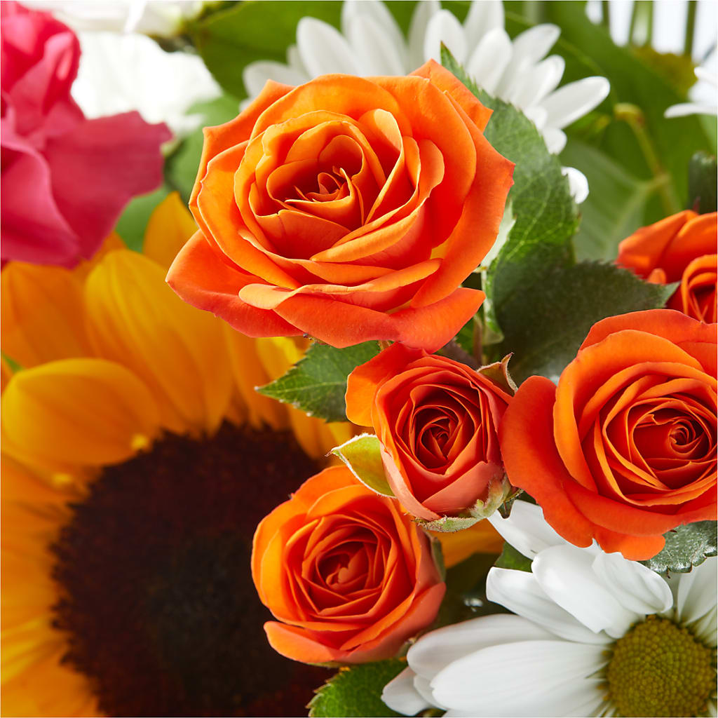 Sun-drenched Blooms Bouquet –  Natural Flowers Llc, Centreville VA