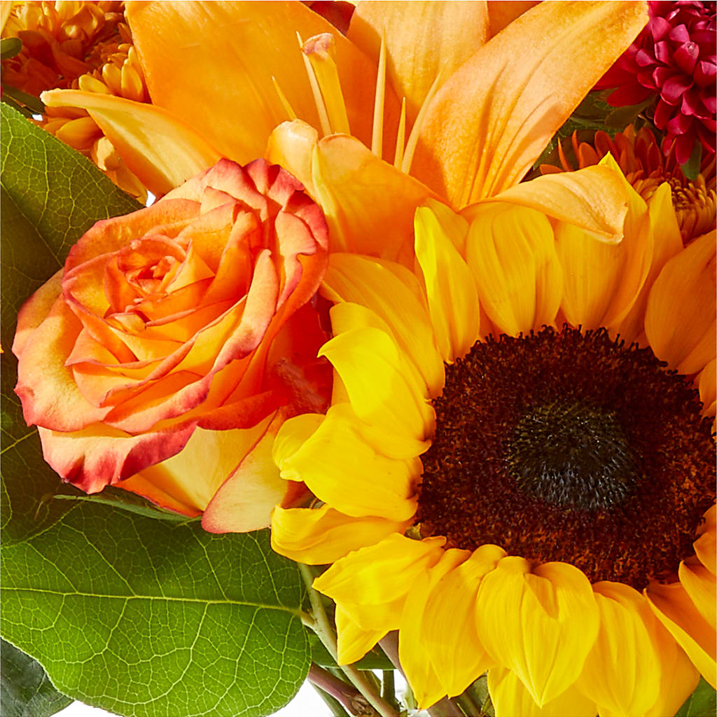 Fall Day Bouquet –  Natural Flowers Llc, Centreville VA