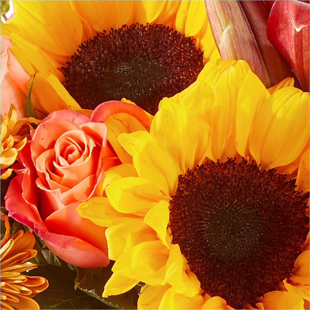Acorn Lane Bouquet –  Natural Flowers Llc, Centreville VA