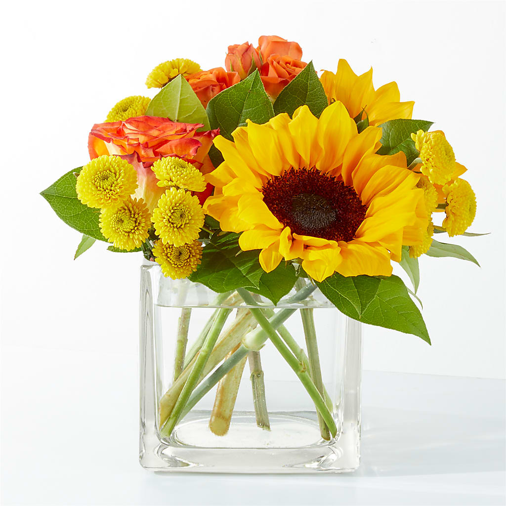 Picnic in the Park Bouquet –  Natural Flowers Llc, Centreville VA