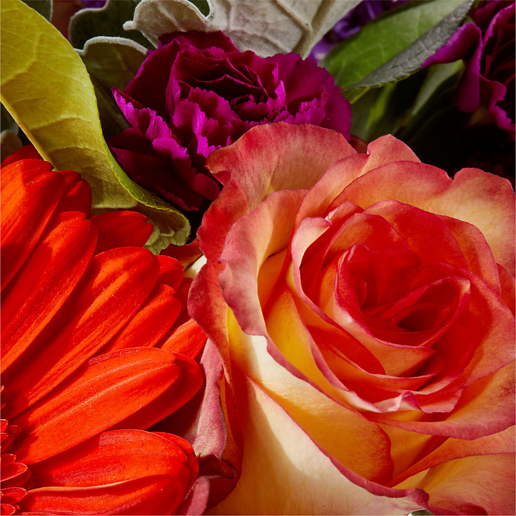 Sangria Bouquet –  Natural Flowers Llc, Centreville VA